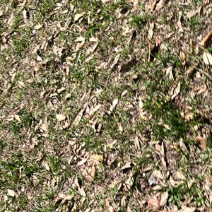 Meet your Posher, Rocco